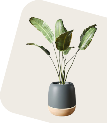 KORU Botany Labs